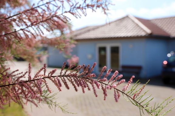 Fritz Reuter Pflegedienst GmbH Blick auf ein blaues Gebäude mit Pflanzen im Vordergrund und einer Bank.